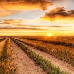 DVNGLEZ - I'll Be There (OG 808)