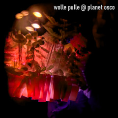 wolle pulle @ planet osco