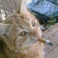 ЦИФЕРКИ(prod.@swaggaholix)