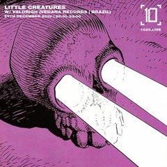 Valdrigh [Vedana Records, BR] - Little Creatures 020