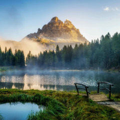 Mountain Mist