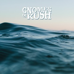 Gnomes of Kush - Liquid