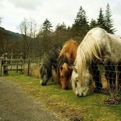 count a check ft. akur3 (lovbug, maknae)