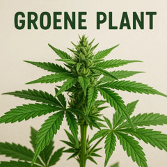 groene plant