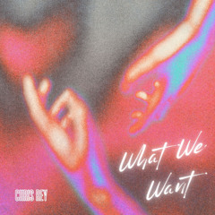 What We Want - Original Mix