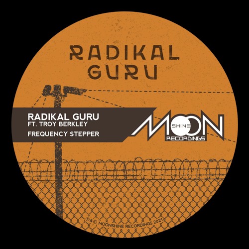 Radikal Guru ft. Troy Berkley - Frequency Stepper
