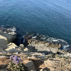 Rank [Prod. By Jankai]