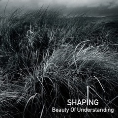 Beauty Of Understanding