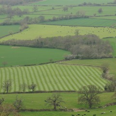 Digital Processing 2-16-25