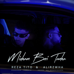 Misham Beri Tanha x (Alirzwha)