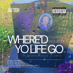 Where’d Yo Life Go