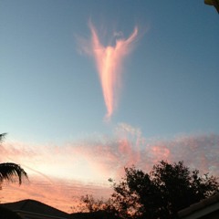 pink angel [prod. eem triplin]