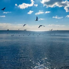 test_08