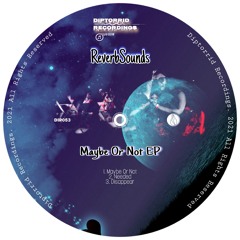 DHSA PREMIERE : ReverbSounds - Maybe or Not [Diptorrid Recordings]