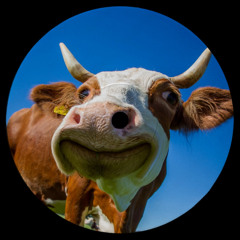 Lady Gaga - Rain On Me (MOO Bootleg) [FREE DOWNLOAD]