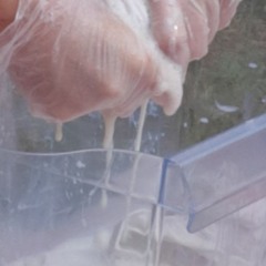Funking Duck According To Studies The Optimal Baking Time For Lasagne Is 84 Minutes