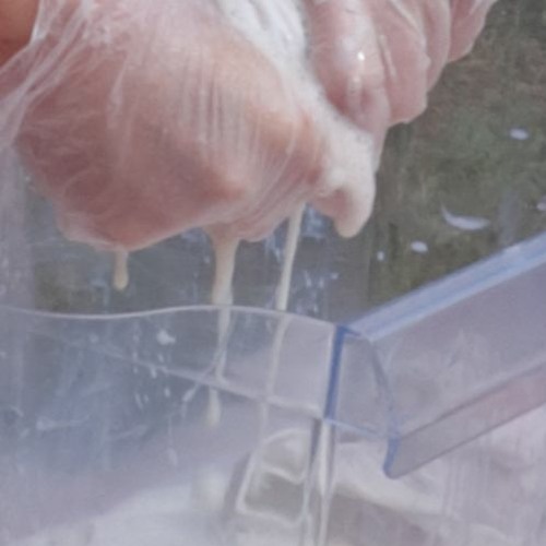 Funking Duck According To Studies The Optimal Baking Time For Lasagne Is 84 Minutes