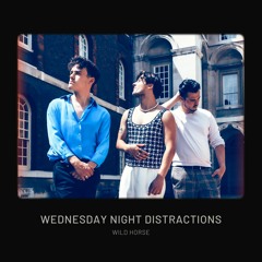 Wild Horse - Wednesday Night Distractions