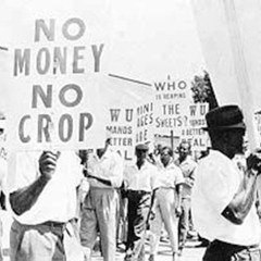 LA RADIO RADIEUSE DUB POUR LES PAUVRES