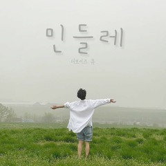 THE BOYZ Q '민들레' (우효) Cover