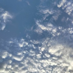 Para que no se me olviden - Tatiana de la Tierra.m4a