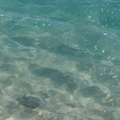 Autechre - Piezo (Twerking From Home Remix)