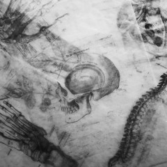 WHO AM I - FT- X-HELMY