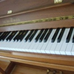 Dy Josephs - The Electric Boogie