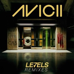 Avicii - Levels (Gin and Sonic's Tech House Remix) **PREVIEW - Click download for full track**