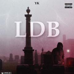 YK-LDB