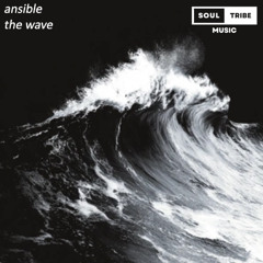 Ansible - The Wave