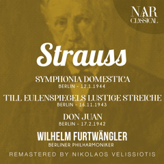 Till Eulenspiegels lustige Streiche, Op.28, IRS 106
