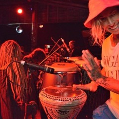 Curious - Disco & Tribal House - 2019