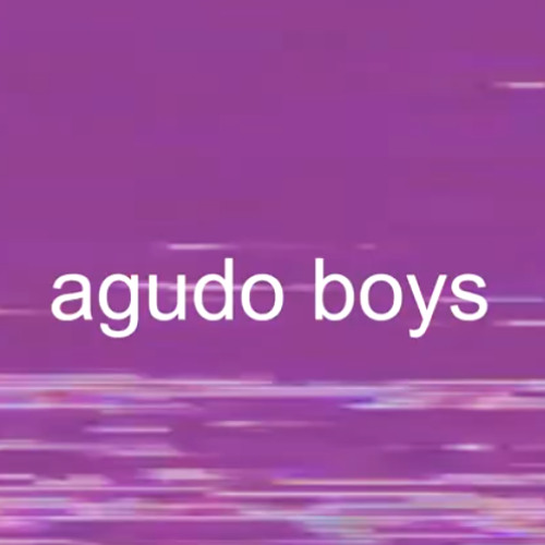 AGUDOBOYS