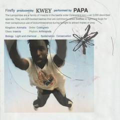 firefly (w papa mbye)
