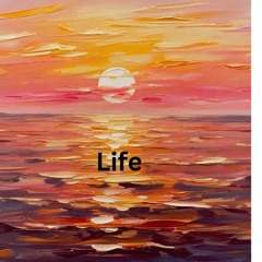 Life's Too Short