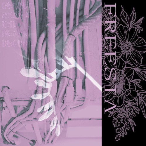 FREESIA