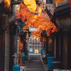 HOA NỞ BÊN ĐƯỜNG REMIX 2024