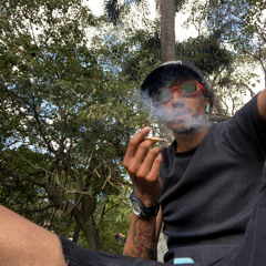 PLUGSK8BOY - CREMAS&BUDS