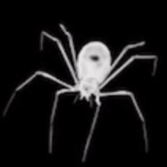untitled. #1 (snippet)