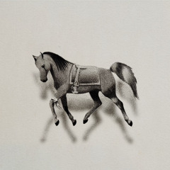 Soft Science (FINISHED)