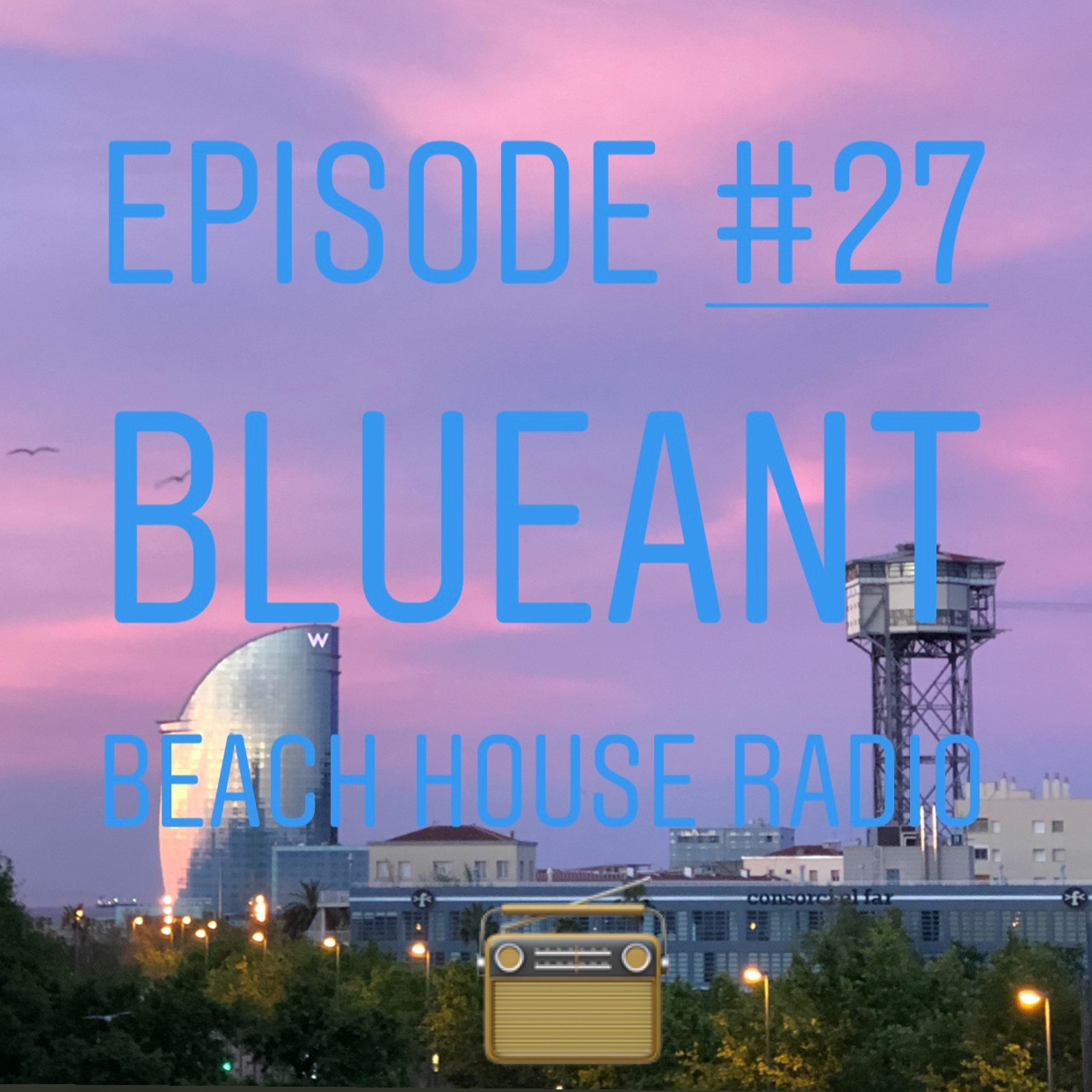 BlueAnt Beach House Radio