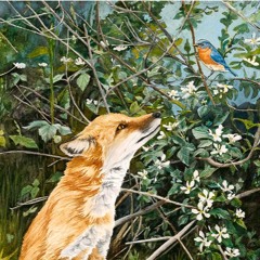 I'll Be Released (acoustic demo)