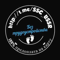 Ведение страниц и групп в социальных сетях