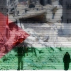 Salcido - Palestine