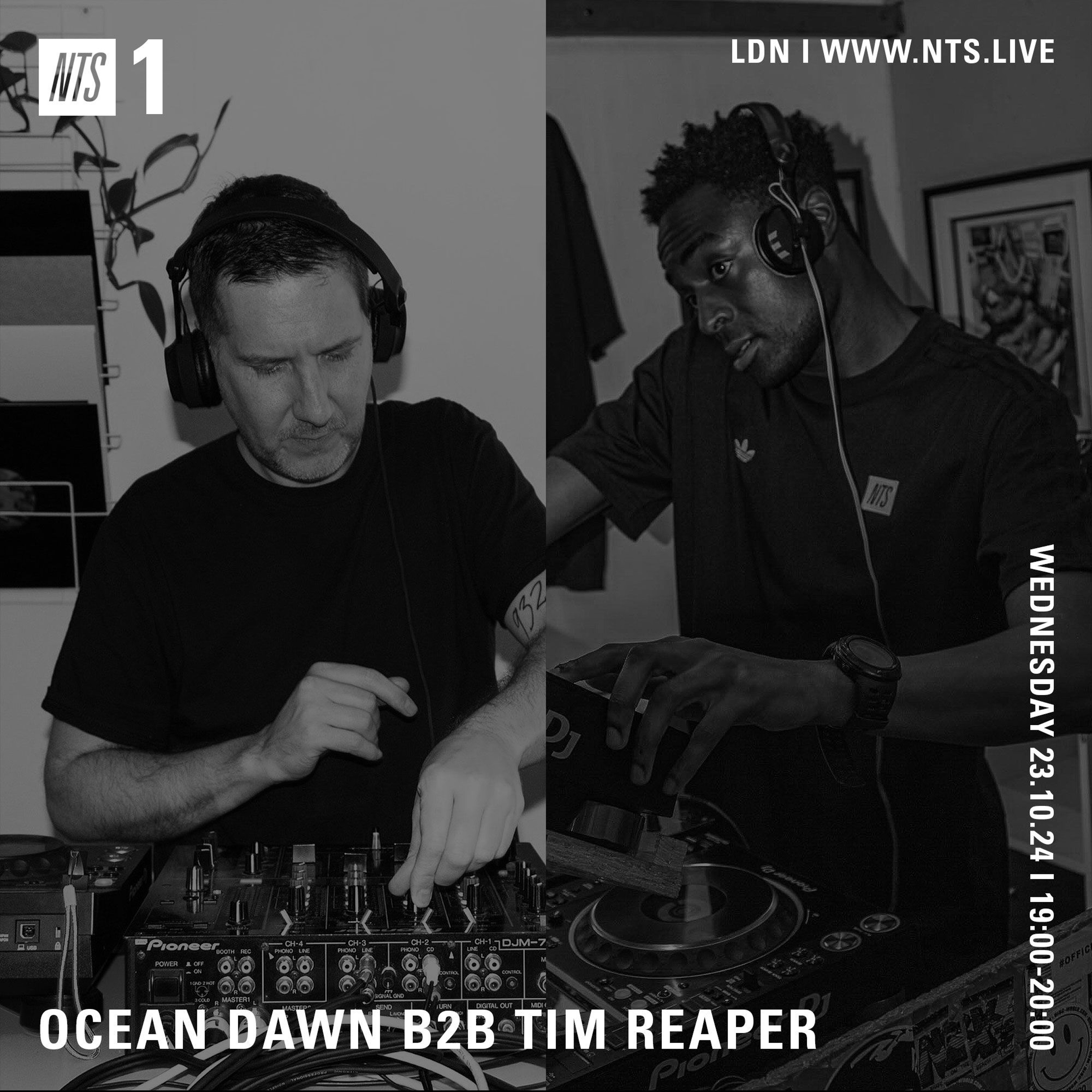 Tim Reaper