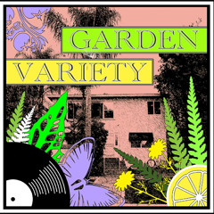 Mikaela's Birthday: a garden variety party 5/17/25