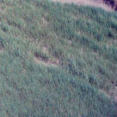 water works (i know why 2)