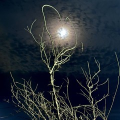 Burner [Intermission]