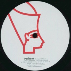 Lapsus - Did You Test? (Faster Pussy Mix)